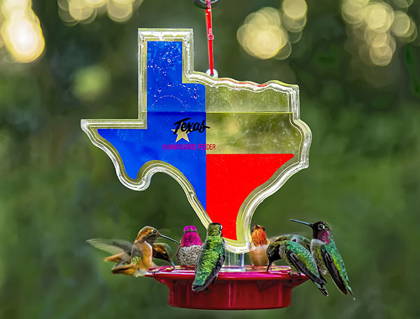 Texas Feeder